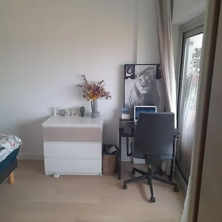 Rent A Modern And Flat