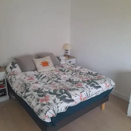 Daire Rent A Modern And Flat *