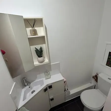 Rent A Modern And Flat Daire